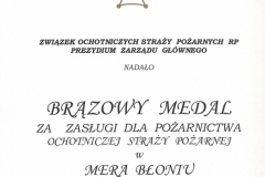 Dyplom z nadania brązowego medalu w 1999 r.